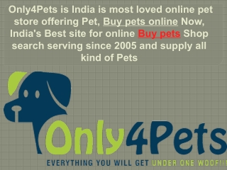 Buy pets online