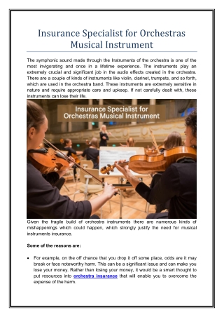 Insurance Specialist for Orchestras Musical Instrument