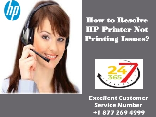 How to Resolve HP Printer Not Printing Issues?