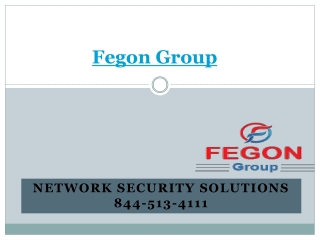 Fegon Group | Network and Internet Security | 8445134111