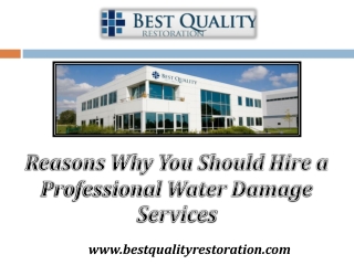 Best Water Damage Repair in Los Angeles, CA