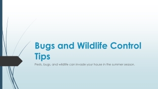 Best Bugs Control Companies Longmont CO