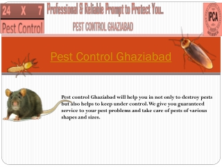 Best Pest Control Services In Ghaziabad