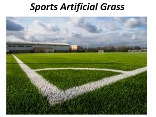 Sports Artificial Grass Dubai