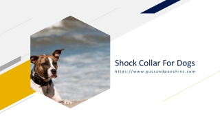 Shock Collar For Dogs