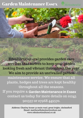 Garden Maintenance Essex
