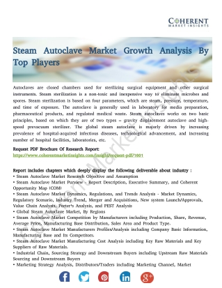 Steam Autoclave Market Growth Analysis By Top Players