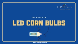 The Basics of LED Corn Bulbs