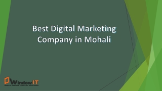 Best Digital Marketing Company in Mohali