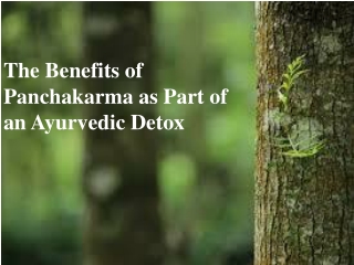 The Benefits of Panchakarma as Part of an Ayurvedic Detox