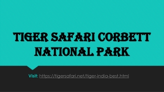 Tiger safari Corbett national park