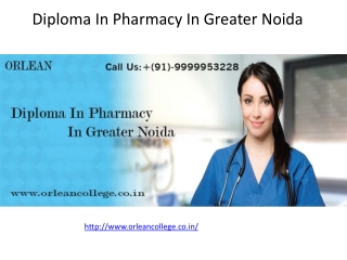 Diploma In Pharmacy In Greater Noida