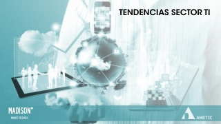 Informe sobre el sector TI