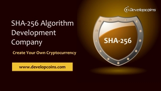 SHA-256 Algorithm Development Services Company