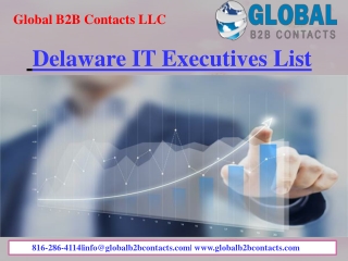 Delaware IT Executives List