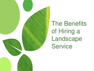 The Benefits of Hiring a Landscape Service