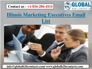 Illinois Marketing Executives Email List