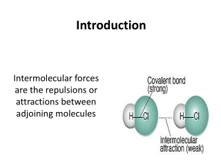 "Complexity Tour via Chemistry-Pharmacology-Toxicology Bridge" Online Course at Udemy.