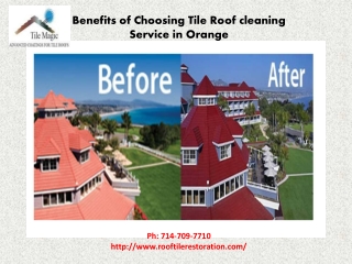 Benefits of Choosing Tile Roof cleaning Service in Orange