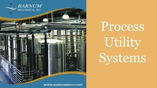 Process Utility Systems