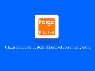 Chain Conveyor Systems