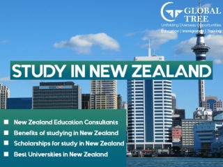 Study in New Zealand Universities which are good value for money.
