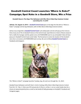 Goodwill Central Coast Launches ‘Where Is Koko?’ Campaign; Spot Koko