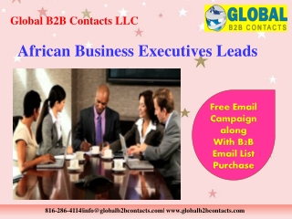 African Business Executives Leads