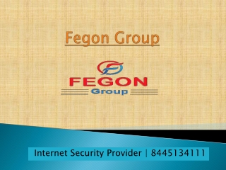 Fegon Group | Internet Security Provider | 8445134111