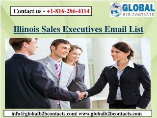 Illinois Sales Executives Email List