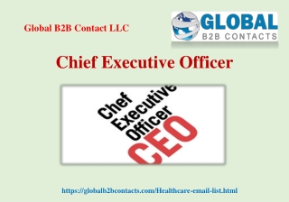 Chief Executive Officer