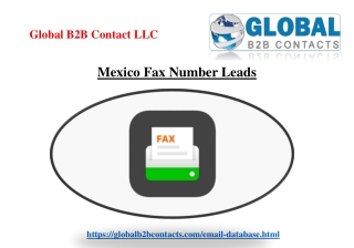Mexico Fax Number Leads