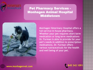 Pet Pharmacy Services - Monhagen Animal Hospital Middletown