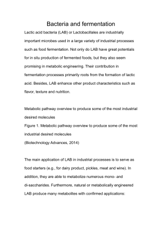 bacteria and fermentation