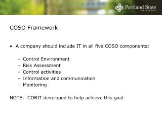 COSO Framework