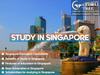 Study in Singapore, the most happening country to study right now