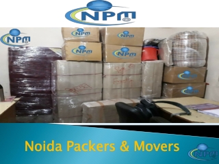 Packing and moving services in Noida