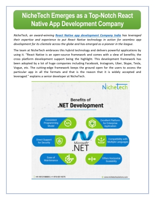 NicheTech Emerges as a Top-Notch React Native App Development Company