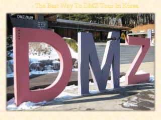 The Best Way To DMZ Tour In Korea