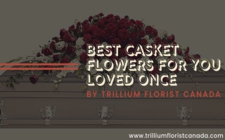 Best Casket Flowers for Your Loved Once By the Best Florist in Toronto