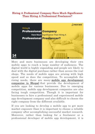 Hiring A Professional Company Have Much Significance Than Hiring A Professional Freelancer?