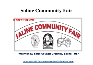 Saline Community Fair