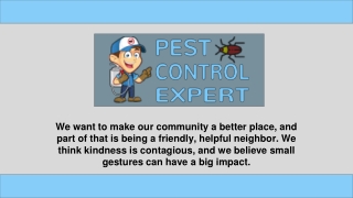 Pest Inspection Services - Pest Control Expert