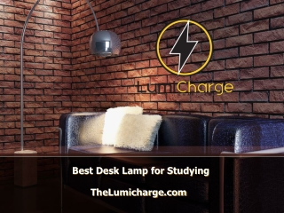 Best Desk Lamp for Studying