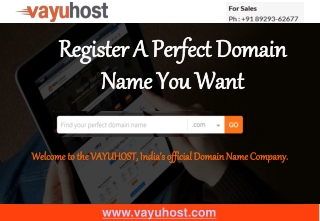 Domain Registration in India-VayuHost