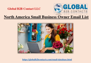 North America Small Business Owner Email List