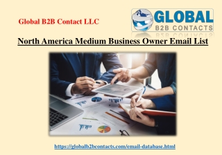 North America Medium Business Owner Email List