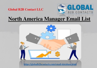 North America Manager Email List