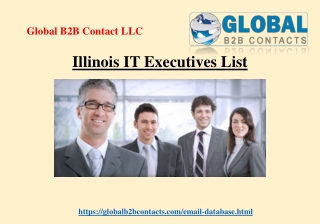 Illinois IT Executives List