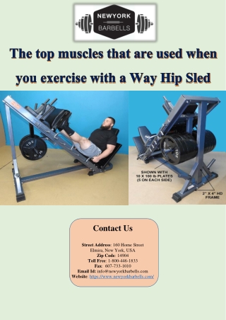 The top muscles that are used when you exercise with a Way Hip Sled